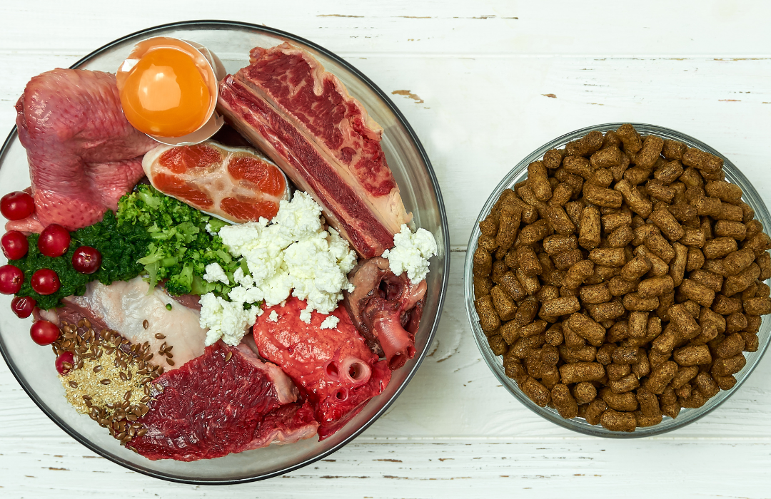 Foods You Can Mix with Your Dog’s Kibble