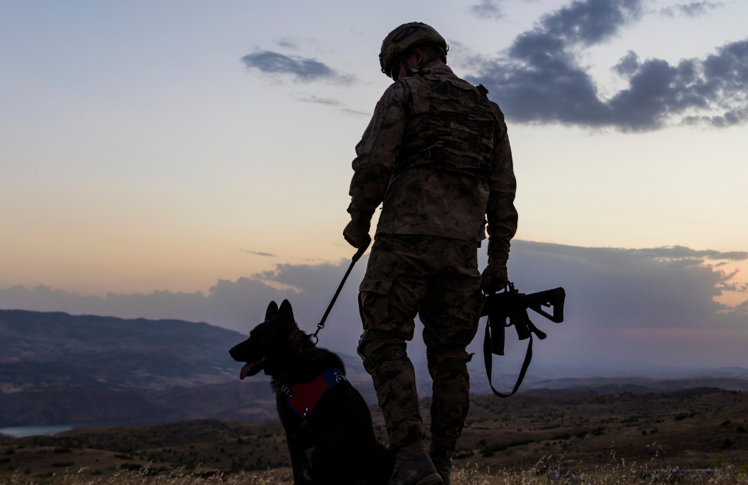 Military Dogs: The Unsung Heroes of War