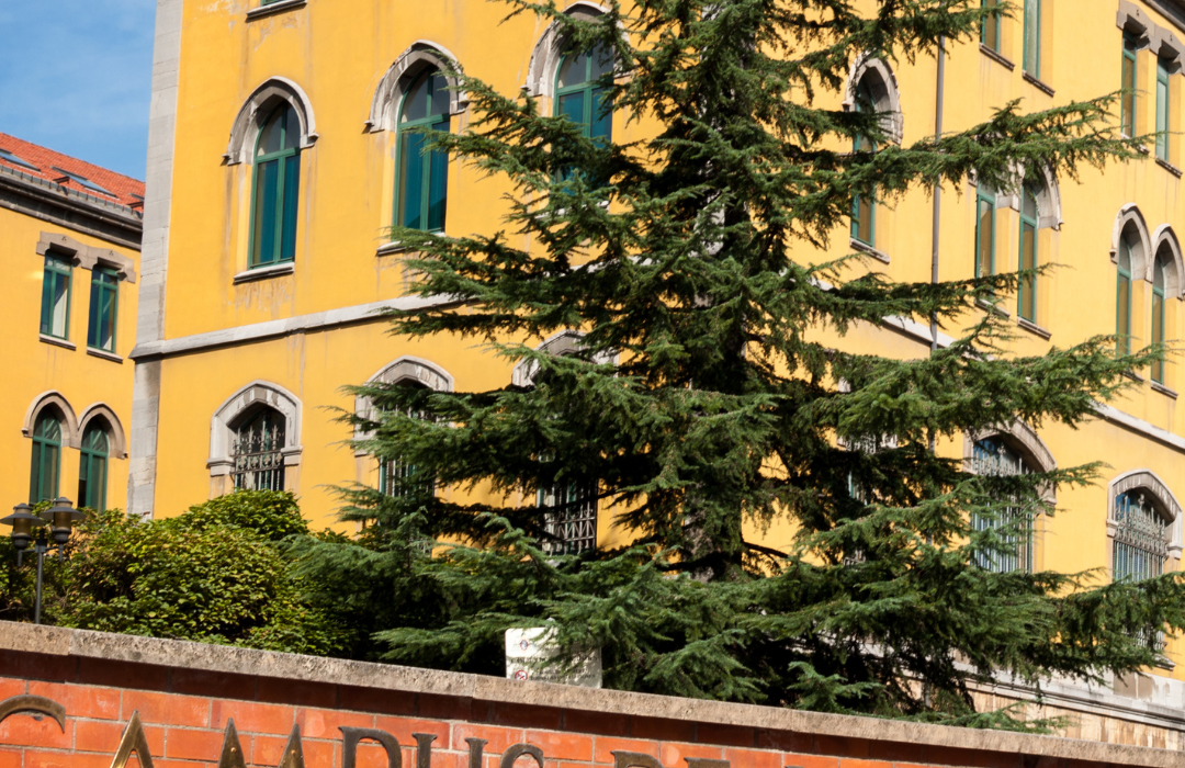 The Benefits of a Liberal Arts Education