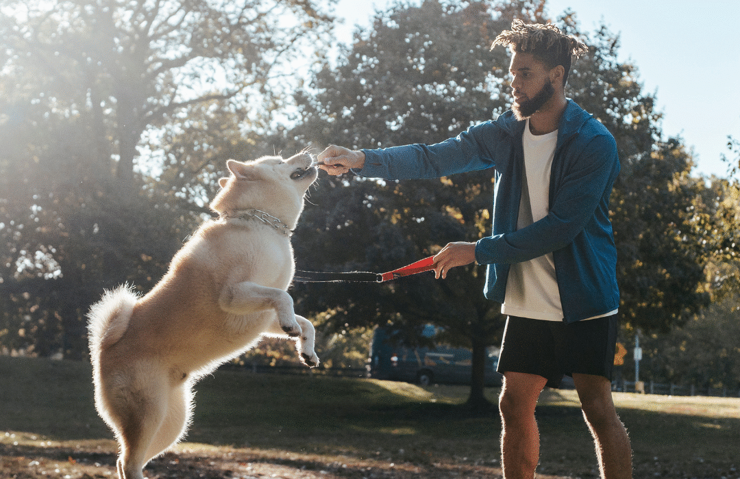  How to Care for Your Dog During the Colder Months: Essential Tips for Winter Wellbeing
