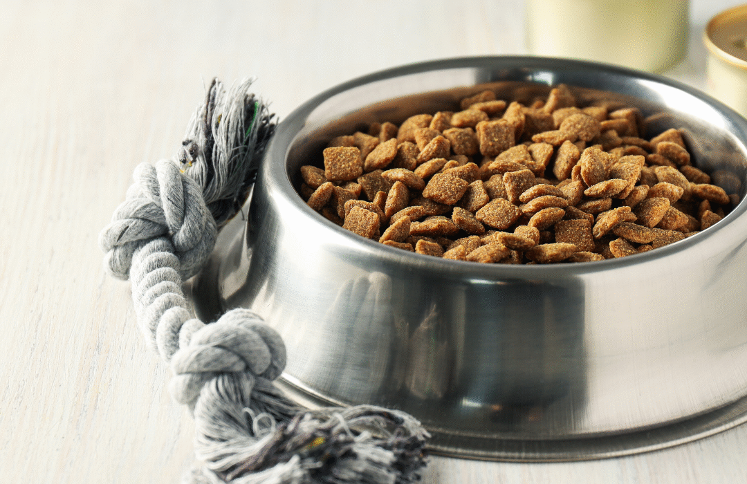 The Best Homemade Treats for Pets with Sensitive Stomachs: Safe and Delicious Options
